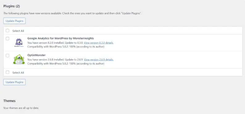 Screenshot della sezione di aggiornamento dei plugin e dei temi di WordPress